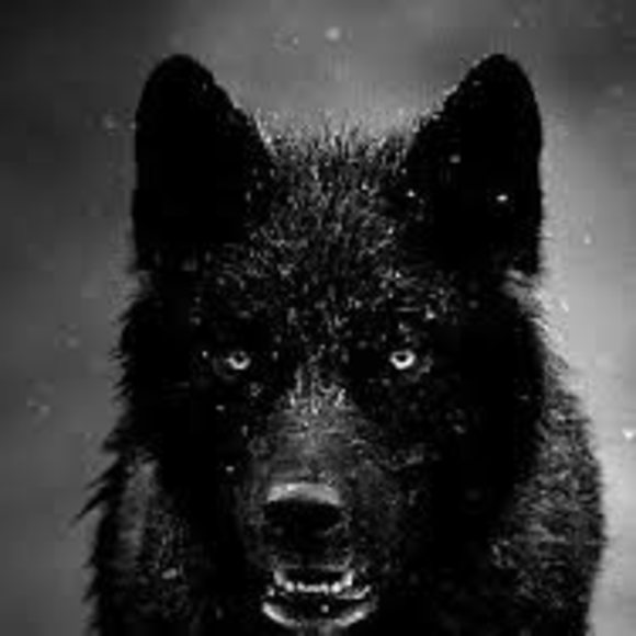east_wolf